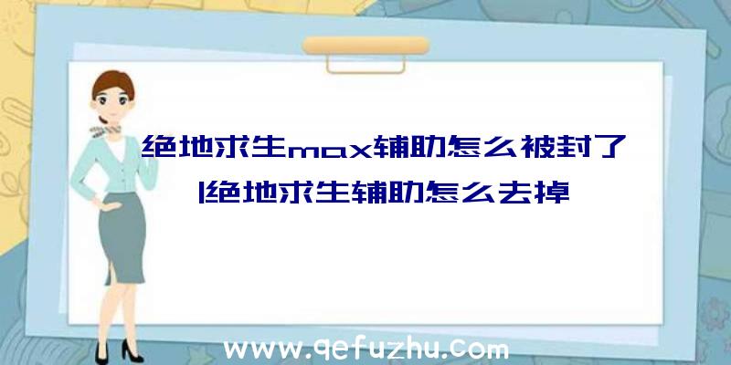 「绝地求生max辅助怎么被封了」|绝地求生辅助怎么去掉